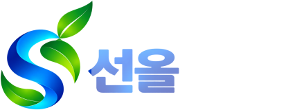 선올아이티
