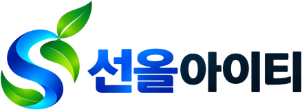 선올아이티 로고 — 한글형